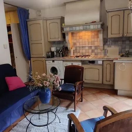 De Charme Wi-fi ,clim, Garage Jardin Prives, Piscine Environnement Arbore 아파트 *